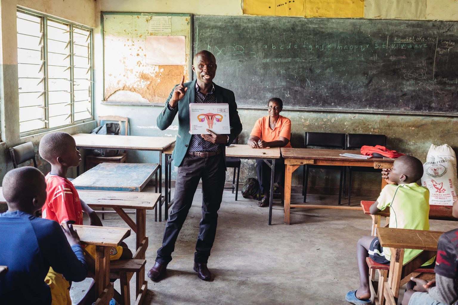 Overseas distribution essay 05 image