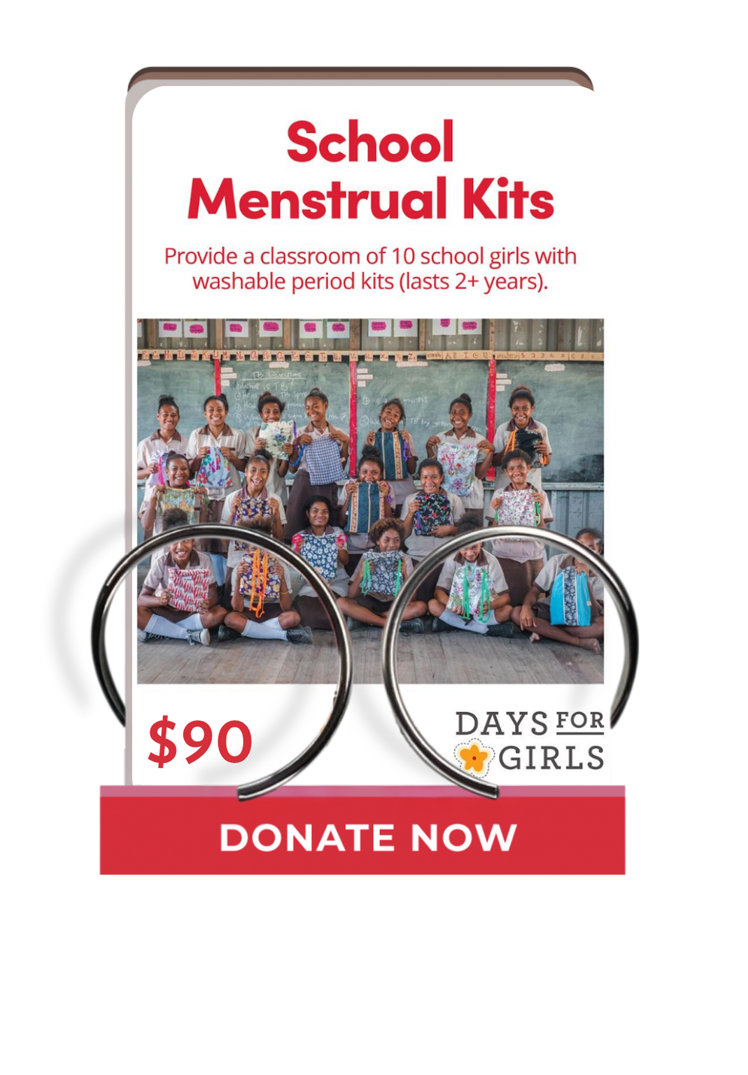 School Menstrual Kits (group)